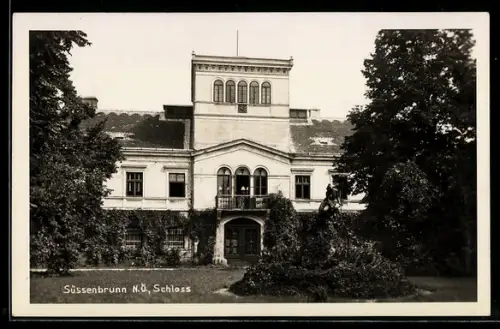 AK Süssenbrunn /N. Ö., Blick zum Schloss