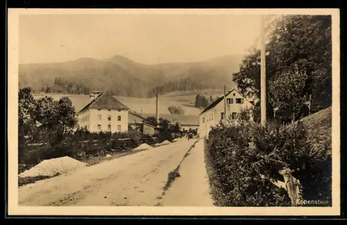 AK Weisskirchen in Steiermark, Eppenstein, Strassenpartie mit Häusern
