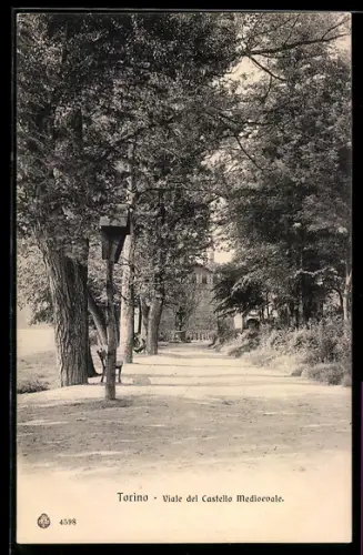 AK Torino, Viale del Castello Medioevale