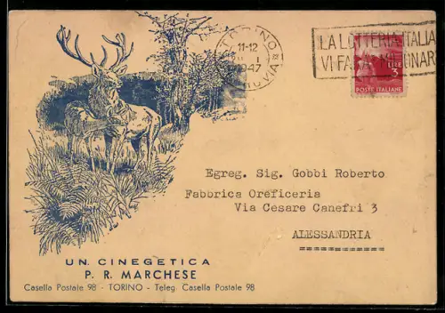 AK Torino, Illustrazione di cervi in una foresta