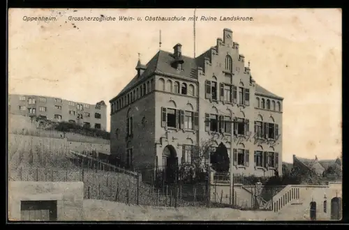 AK Oppenheim, Grossherzogliche Wein- u. Obstbauschule mit Ruine Landskrone