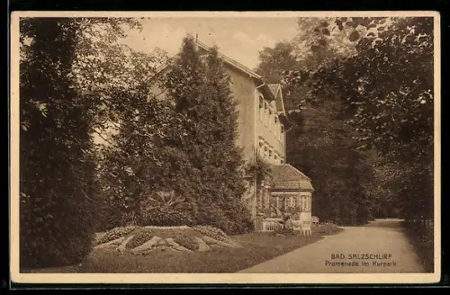 AK Bad Salzschlirf, Promenade im Kurpark