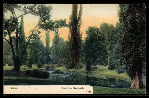 AK Hanau, Partie im Stadtpark