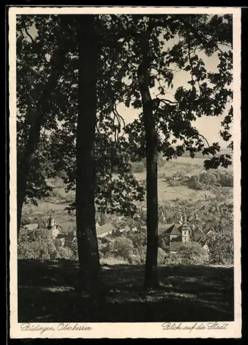AK Büdingen /Oberhessen, Blick auf die Stadt
