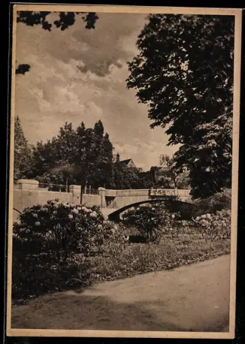 AK Halle /Saale, Saalebrücke mit Blumenbeeten im Park