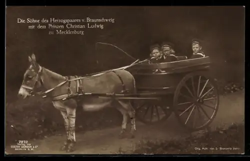 AK Die Söhne des Herzogspaares von Braunschweig mit dem Prinzen Christian Ludwig zu Mecklenburg