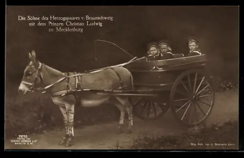 AK Die Söhne des Herzogspaares von Braunschweig mit dem Prinzen Christian Ludwig zu Mecklenburg