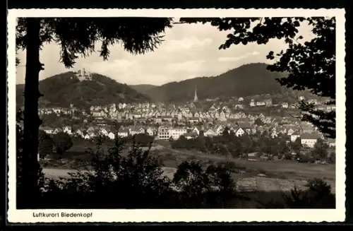 AK Biedenkopf, Gesamtansicht mit Schloss und Kirche