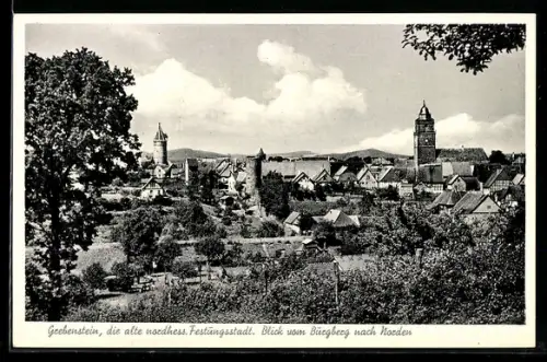 AK Grebenstein, Blick vom Burgberg über die Stadt nach Norden
