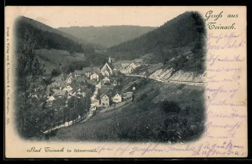 AK Bad Teinach im Schwarzwald, Teilansicht mit Strassenpartie