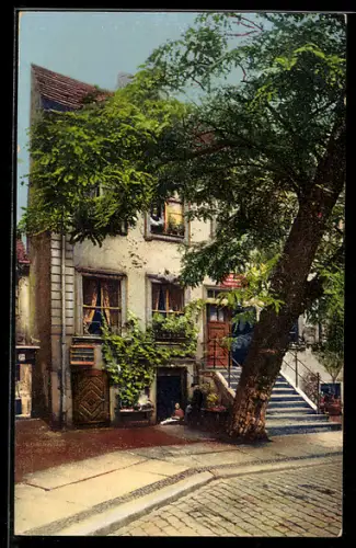AK Berlin, Jüdenhof mit ältest. Akazie Berlins