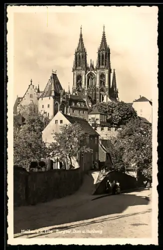 AK Meissen a. d. Elbe, Burgberg, Dom, Hohlweg