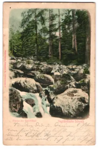 Relief-AK Triebthal /Vogtländische Schweiz, Partie im Triebthal