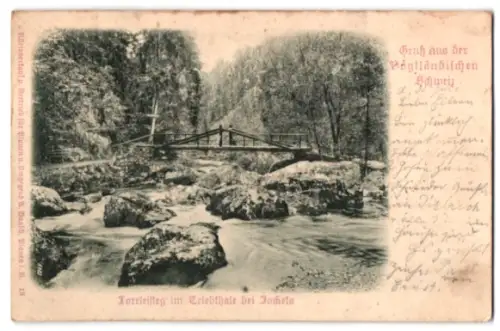 Relief-AK Jocketa /Triebthal, Loreleisteg im Triebthal