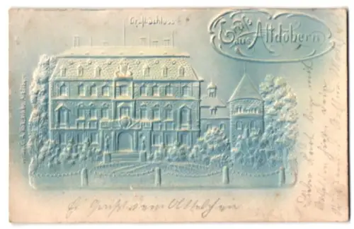 Relief-AK Altdöbern, Gräfliches Schloss mit Gartenanlage in der Aussenansicht