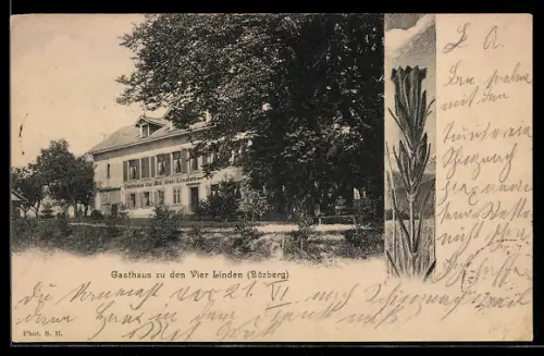 AK Bözberg, Gasthaus zu den Vier Linden