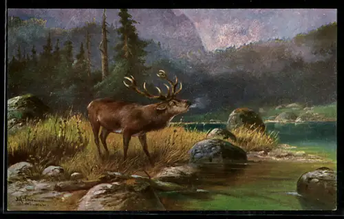 Künstler-AK Alfred Schönian: Röhrender Hirsch am Ufer im Morgennebel