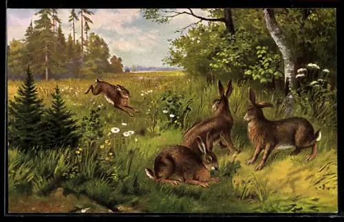 Künstler-AK Feldhasen auf sommerlicher Waldlichtung