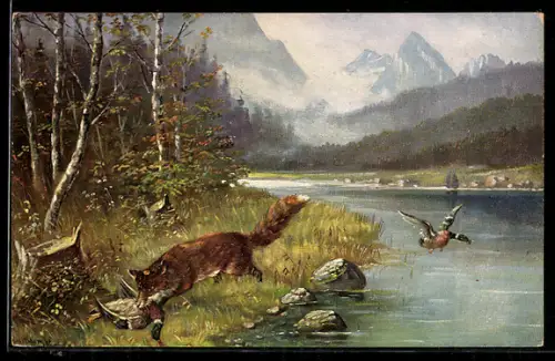 Künstler-AK Fuchs reisst Stockente