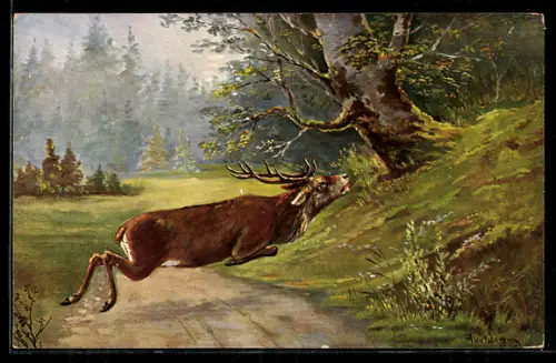 AK Hirsch sprigt über einen Weg