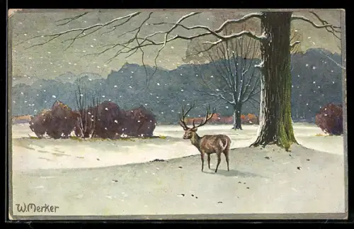 AK Hirsch steht unter einem schneebedeckten Baum