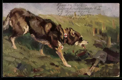 Künstler-AK J. W. v. d. Heide: Der Sanitätshund im Felde auf der Suche nach Verwundeten, Sanitätshund d. Roten Kreuzes