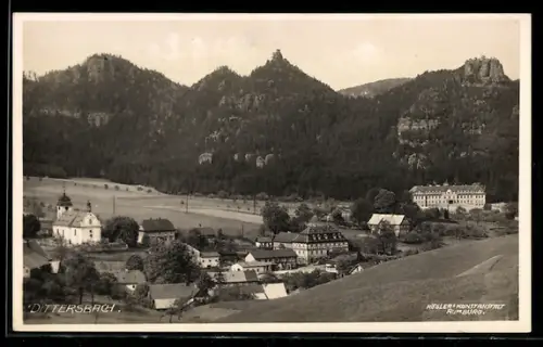 AK Dittersbach / Jetrichovice, Ortsansicht vom Hügel aus