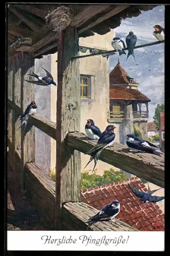 Künstler-AK Rauch- und Mehlschwalben
