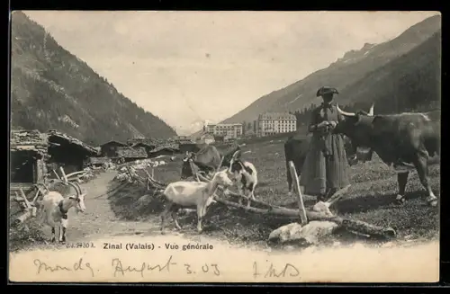 AK Zinal /Valais, Vue générale