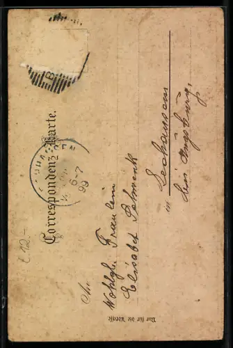 Lithographie Bregenz, Panorama am Bodensee