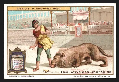 Sammelbild Liebig, Der Löwe des Androklus