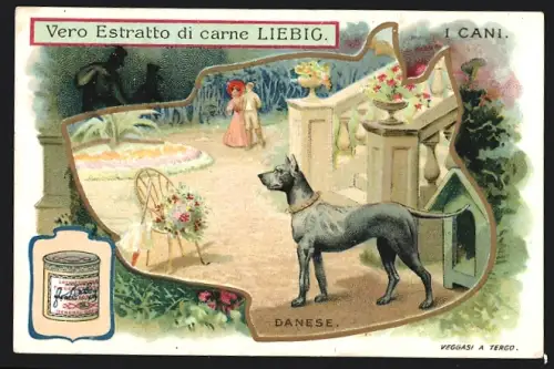 Sammelbild Liebig, Cani, Danese