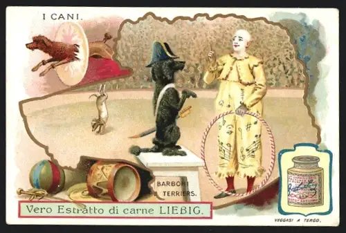 Sammelbild Liebig, I Cani, Barboni Terriers
