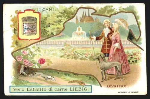 Sammelbild Liebig, I Cani, Levriere