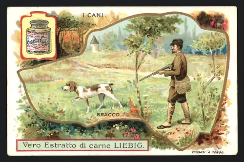 Sammelbild Liebig, I Cani, Bracco