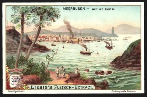 Sammelbild Liebig, Meerbusen, Golf von Sydney
