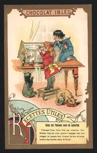 Sammelbild Chocolat Ibled, Paris, Kinder holen Fische aus dem Aquarium und geben sie den Katzen