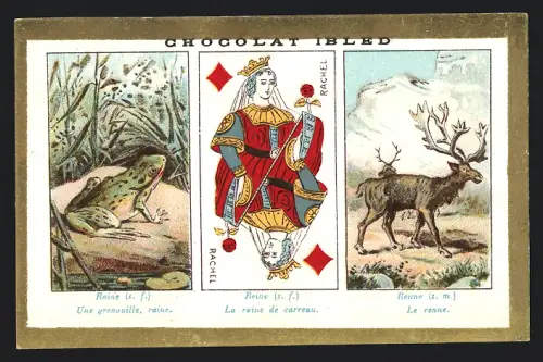 Sammelbild Chocolat Ibled, Paris, Rue du Temple 4, Frosch, Elchbulle