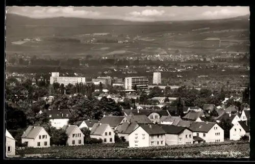 AK Ingelheim am Rhein, Panorama mit Wohnhäusern und Weinbergen
