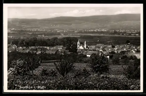 AK Ingelheim a. Rhein, Ortspanorama, Weinberge, Kirche