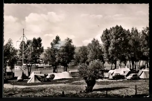 Foto-AK Ingelheim a. Rhein, Campingplatz, Zelte, Rheinufer