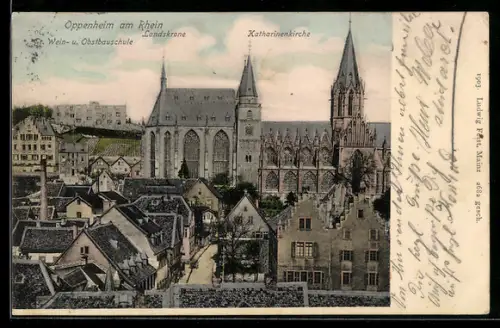 AK Oppenheim am Rhein, Katharinenkirche, Wein- u. Obstbauschule, Landskrone
