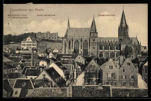 AK Oppenheim am Rhein, Grossherzogl. Wein- u. Obstbaumschule, Ruine Landskrone, Katharinenkirche