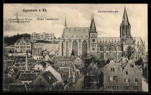 AK Oppenheim a. Rh., Katharinenkirche, Ruine Landskrone, Grossherzogl. Wein- u. Obstbauschule