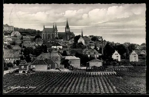 AK Oppenheim a. Rhein, Stadtansicht mit Kirche und Weinbergen