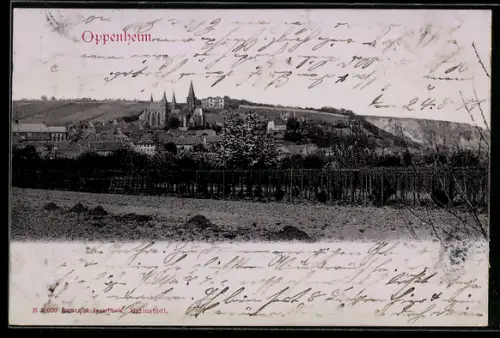 AK Oppenheim, Stadtansicht, Kirche, Weinberge