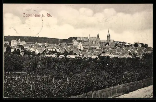 AK Oppenheim a. Rh., Stadtansicht mit Weinbergen