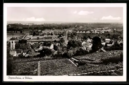 AK Oppenheim a. Rhein, Ortsansicht mit Kirche
