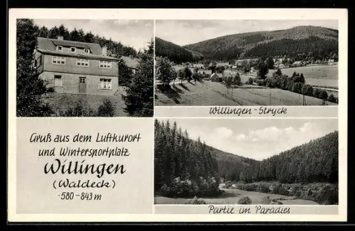 AK Willingen /Waldeck, Pension Haus am Ettelsberg, Willingen-Stryck, Partie im Paradies