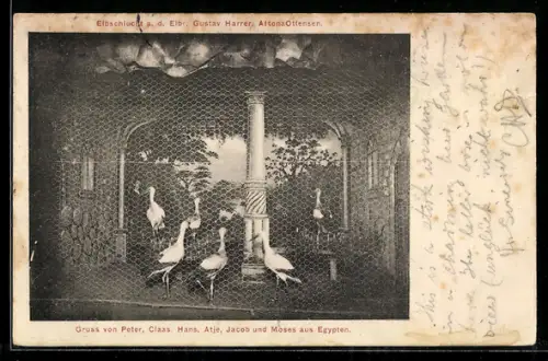 AK Hamburg-Altona, Gasthaus Elbschlucht G. Harrer, Vogelvoliere